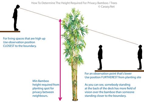 Bamboo Heights .